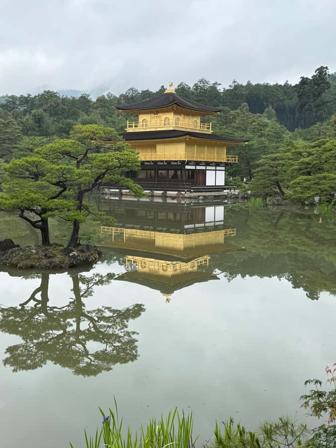 Kyoto: Memory Kyoto E-Bike Tour - Tenryuji’s garden is the thoughtful stop