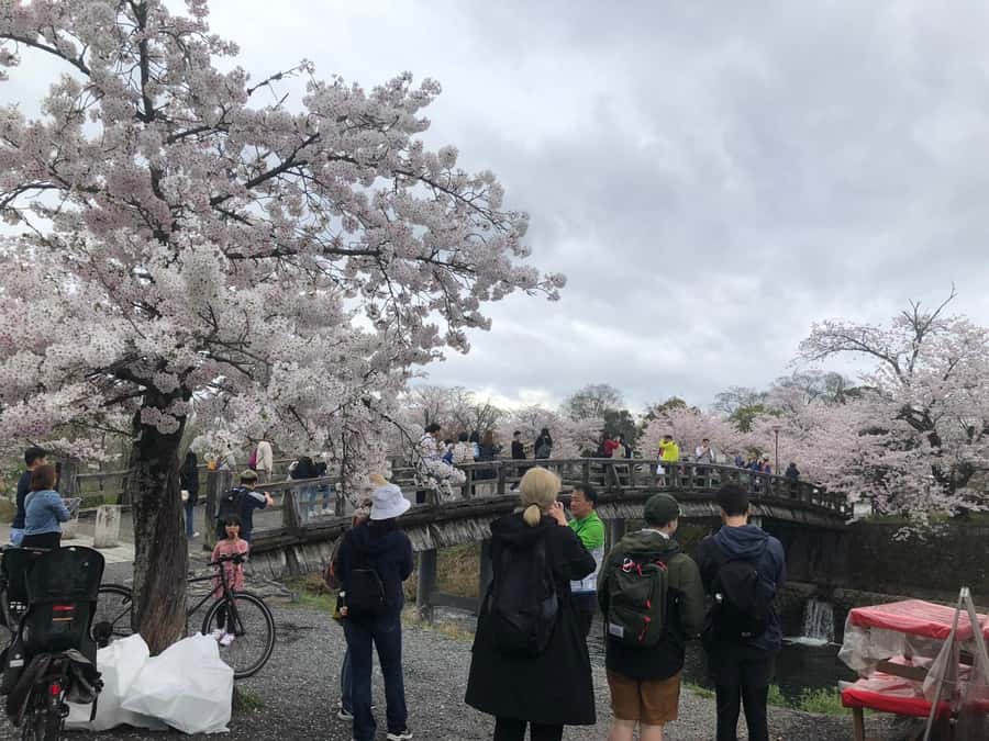 Kyoto: Memory Kyoto E-Bike Tour - Who should book this Kyoto bike tour?