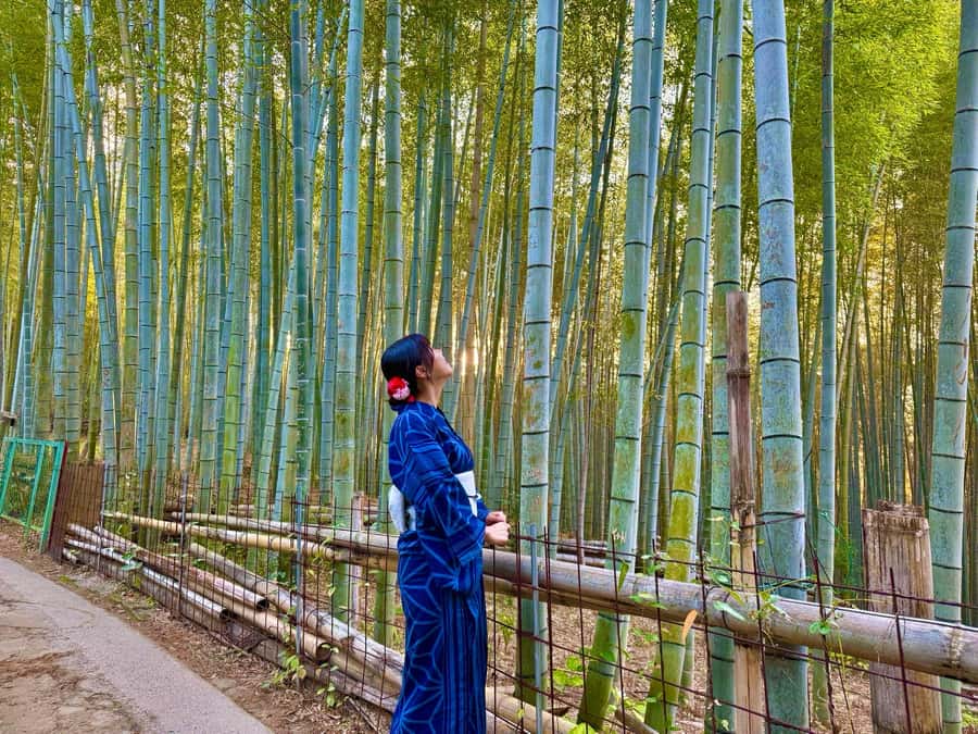 Kyoto Morning Highlights Tour: Fushimi, Kiyomizu-dera & Gion - Is $100 a fair price?