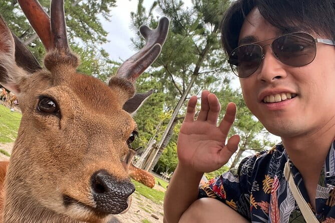 Kyoto & Nara Day Tour: Golden Pavilion, Fushimi Inari & Deer Park - Transport, group size, and the long-day tradeoff