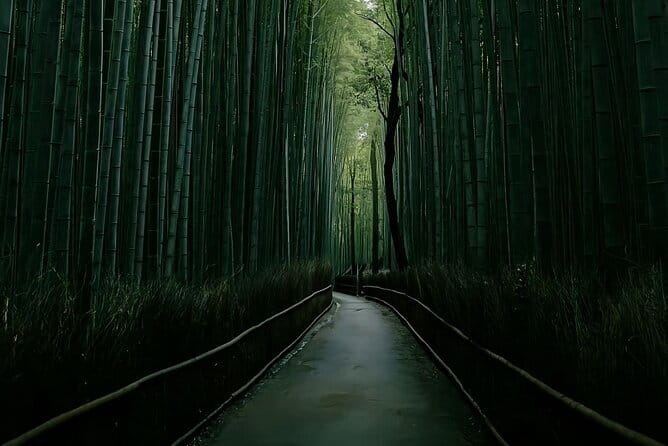 Kyoto&Nara&Osaka: One day private Customized Car tour - A day that can change as you go
