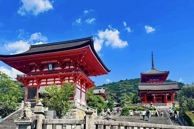 Kyoto&Nara&Osaka: One day private Customized Car tour - Practical planning before departure
