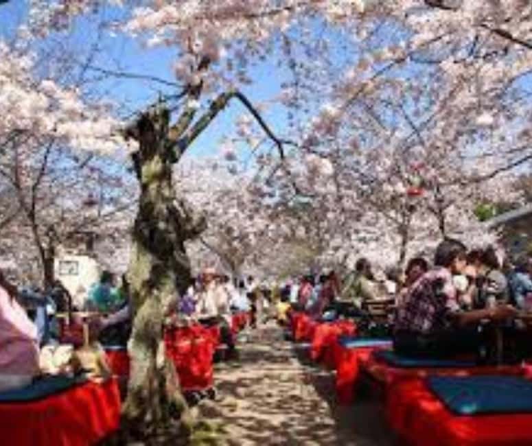 Kyoto & Nara Private Customized, Guided Tour - Fushimi Inari’s red torii paths