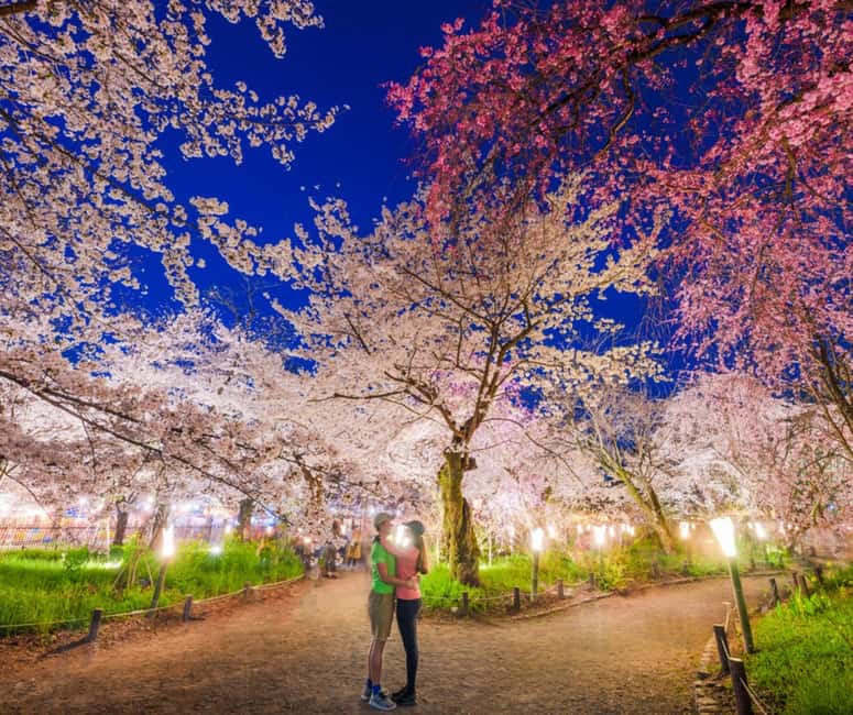 Kyoto & Nara Private Customized, Guided Tour - Nara Park and the Great Buddha