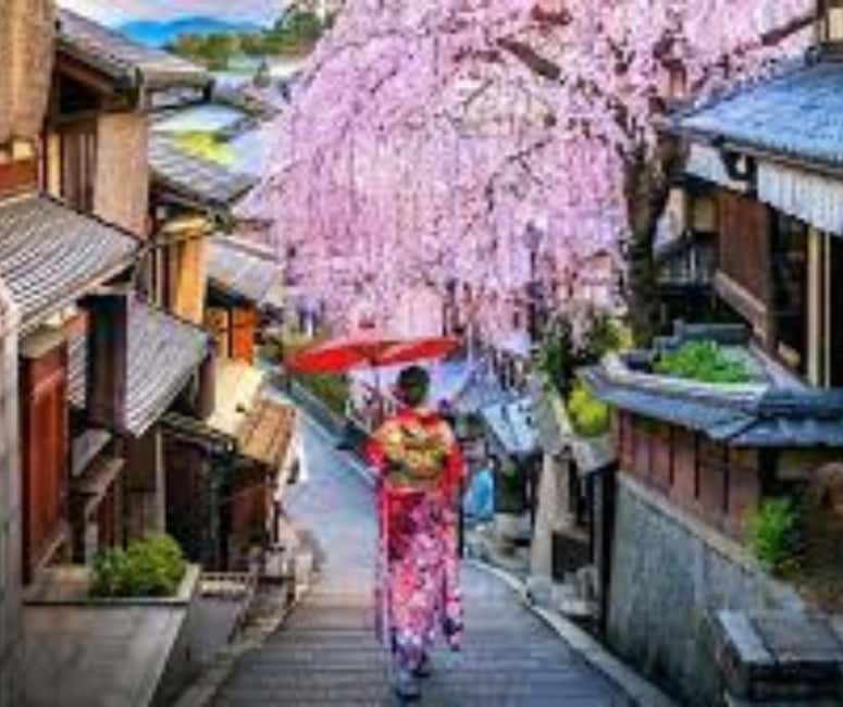 Kyoto & Nara Private Customized, Guided Tour - Kiyomizu-dera above Kyoto