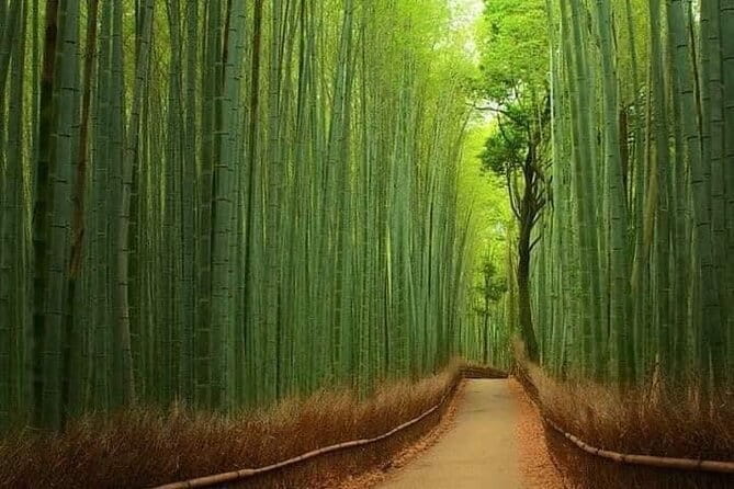 Kyoto & Nara Private customized tour with English speaking Guide - What this Kyoto and Nara day is really trying to do