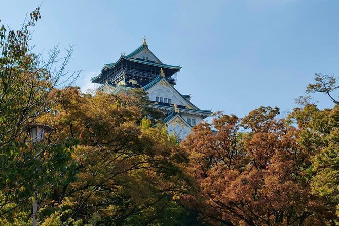 Kyoto & Nara Private Day Tour - The driver makes or breaks the day