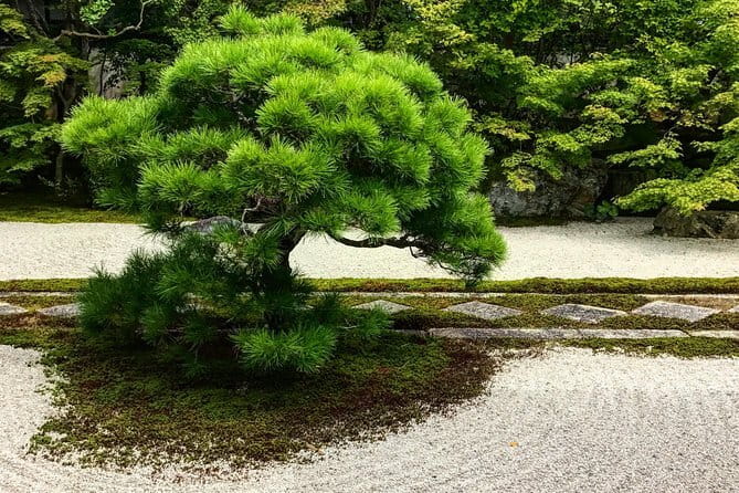 Kyoto&Nara Private Highlights Tour with English driver Pickup - Fushimi Inari: choose your walking distance