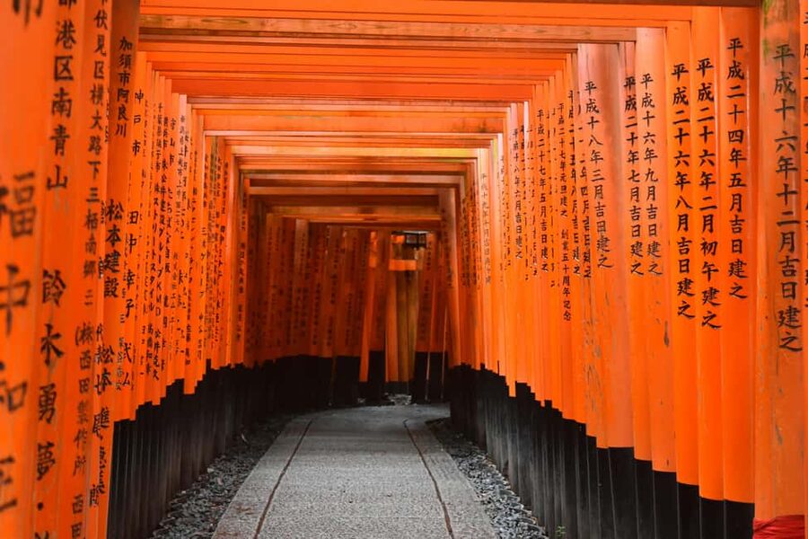 Kyoto & Nara Private Luxury Car Tour: Encounter with Deer - Sanjusangendo, Kyoto’s quieter interior stop