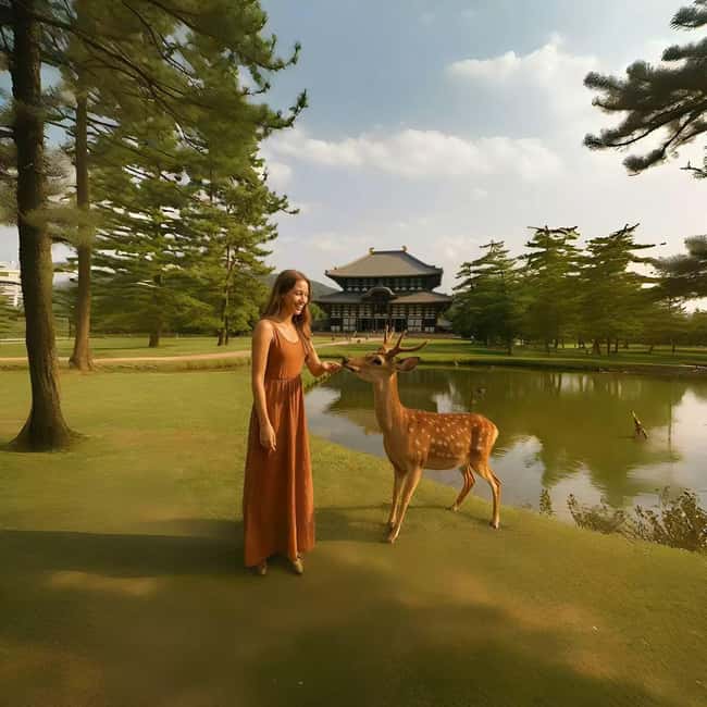 Kyoto & Nara Private Luxury Car Tour: Encounter with Deer - Crossing to Nara and entering Todaiji