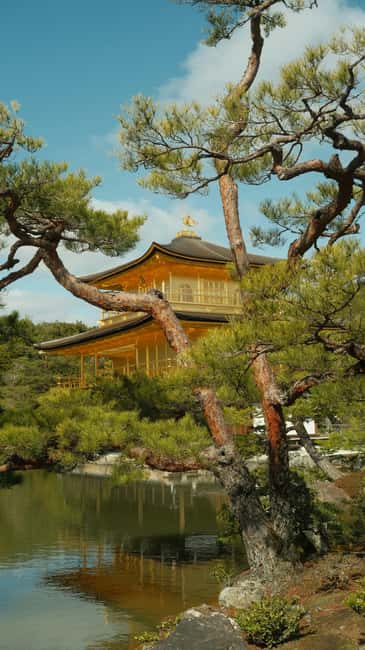 Kyoto & Nara Private Luxury Car Tour: Encounter with Deer - What the private vehicle adds