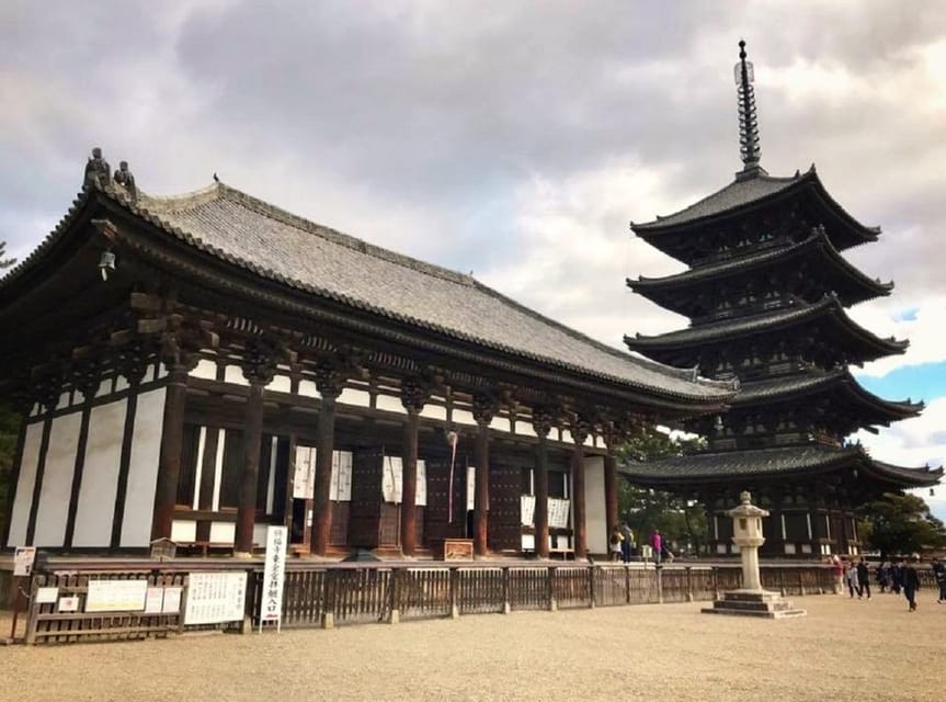 Kyoto: Nara, Todaiji, Kasuga Taisha Shrine Private Full Day - Why Nara makes a better day trip than a quick stop