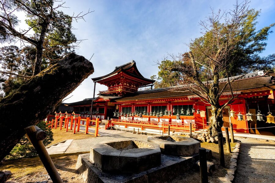 Kyoto: Nara, Todaiji, Kasuga Taisha Shrine Private Full Day - Kofukuji and the story of Nara’s capital