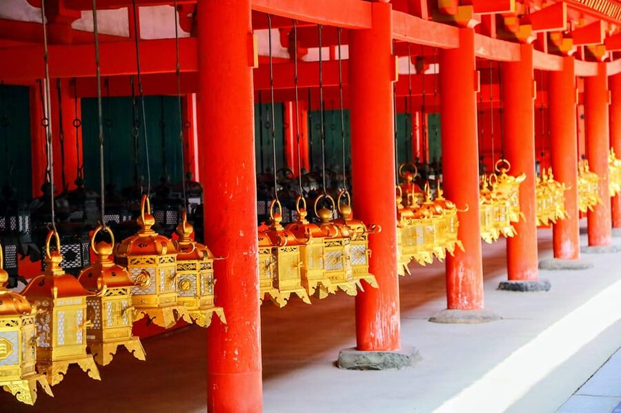 Kyoto: Nara & Traditional Matcha Experience Bus Tour - What the Coach and Guides Add