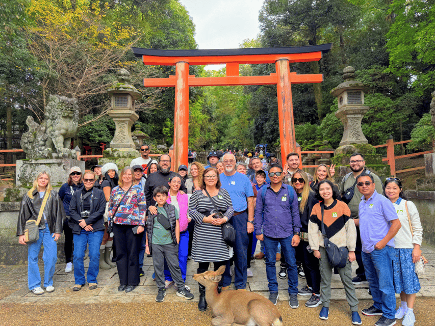 Kyoto: Nara & Traditional Matcha Experience Bus Tour - One Day, Three Big Sights, and a Bowl of Matcha