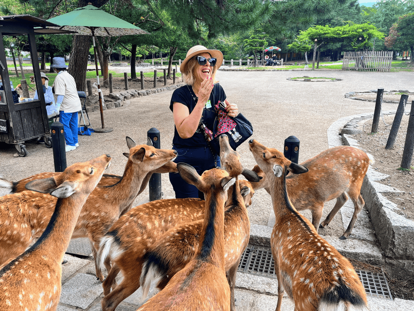 Kyoto: Nara & Traditional Matcha Experience Bus Tour - Kasuga Taisha and Nara’s Lantern-Lined Paths