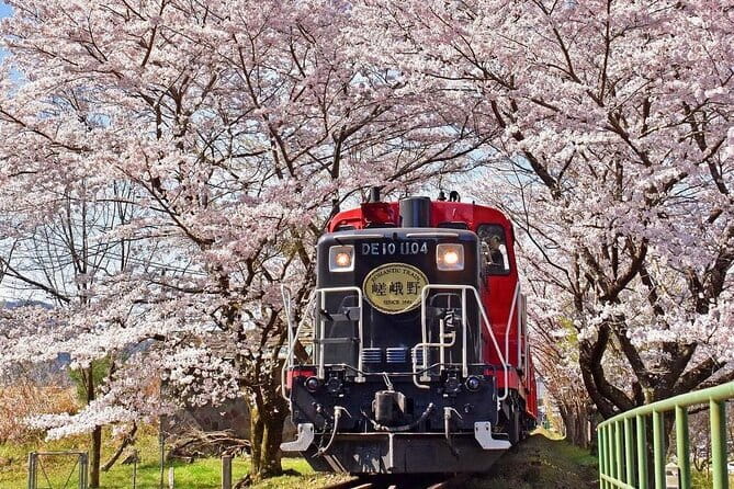 Kyoto & Nara & Uji: Full Day Sightseeing Tour from Osaka or Kyoto - Byodoin Omotesando and the matcha break