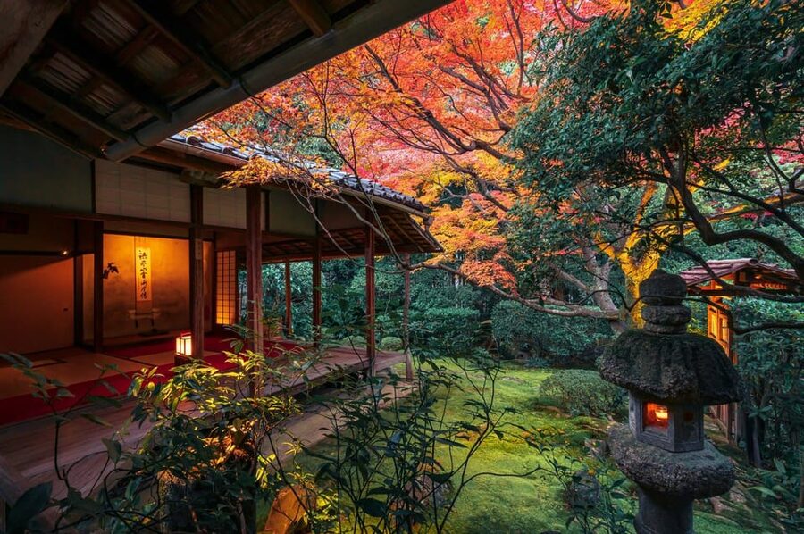 Kyoto: Nighttime Zen Meditation and Matcha Tea Experience - Four Illuminated Gardens With a Different Mood