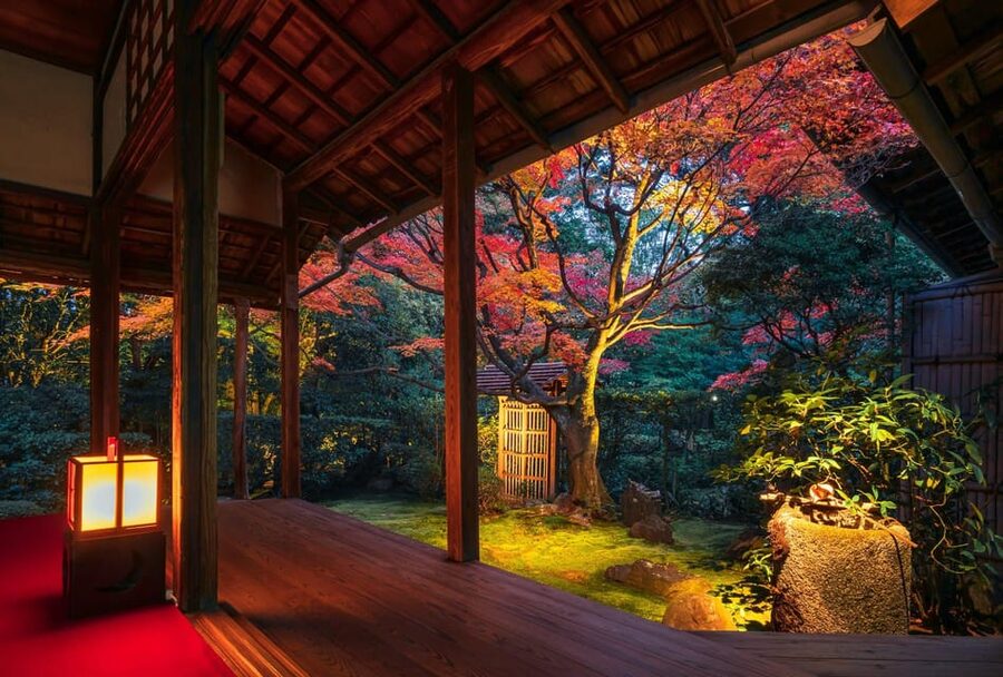 Kyoto: Nighttime Zen Meditation and Matcha Tea Experience - Learning Zazen With Deputy Chief Priest Yasumasa Arashima
