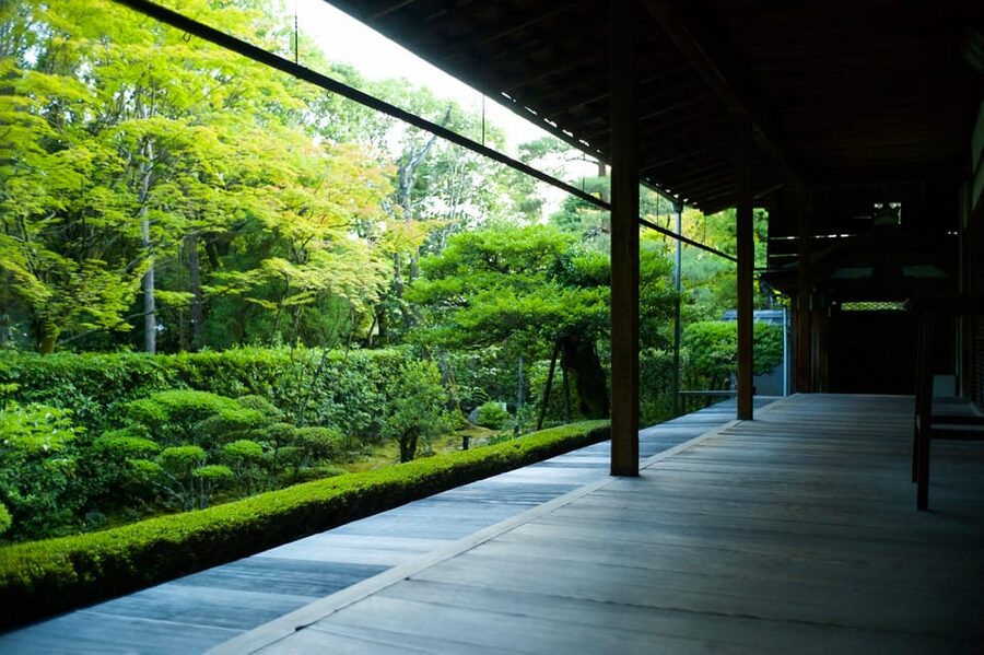 Kyoto: Nighttime Zen Meditation and Matcha Tea Experience - Sehakuan Tea Room and Kano Sansetsu’s Paintings