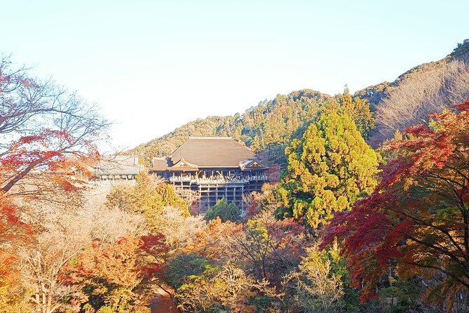 Kyoto Off The Beaten Path: Hidden Zen Garden & Magical Shrine - What the guide adds
