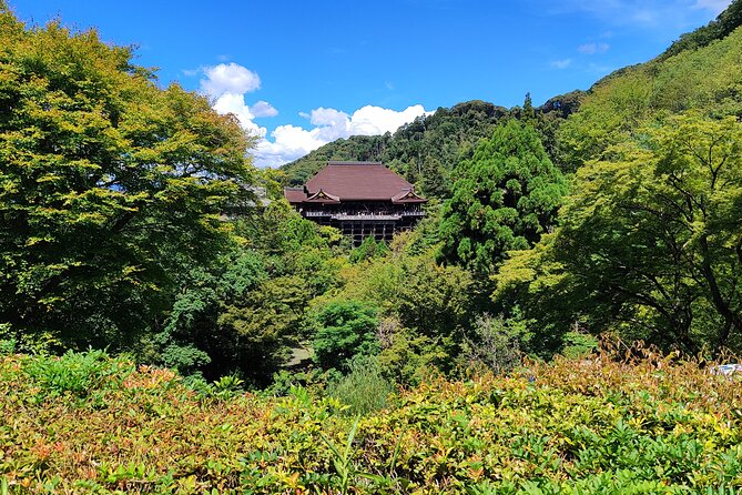 Kyoto Off The Beaten Path: Hidden Zen Garden & Magical Shrine - Who should book this experience