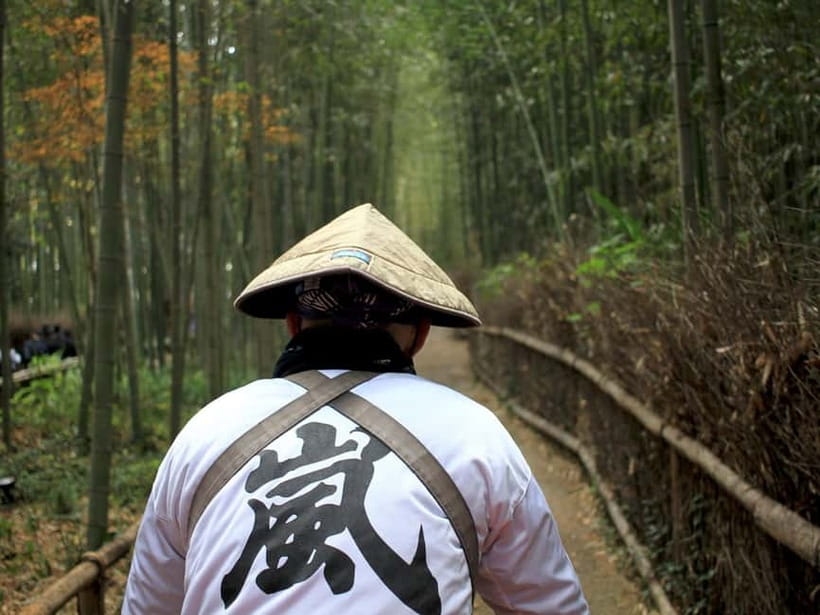 Kyoto/Osaka: Kinkakuji, Bamboo Forest, and Nara Deer Park - My recommendation
