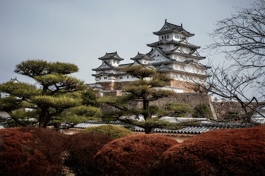 Kyoto/Osaka: Kobe & Himeji Journey Through Culture & History - Kobe Chinatown, Nankinmachi, and the food budget