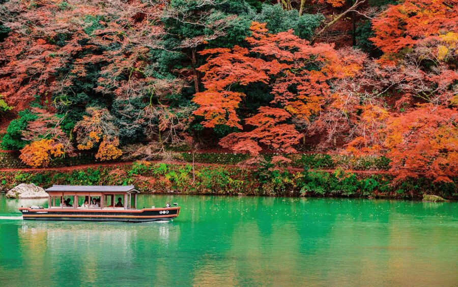 Kyoto/Osaka: Kyoto and Nara Customizable Guided Day Trip - Key points to know before booking