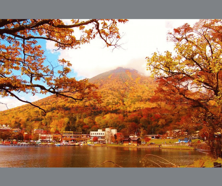 Kyoto/Osaka: Kyoto and Nara Customizable Guided Day Trip - What a Nara-only day can include