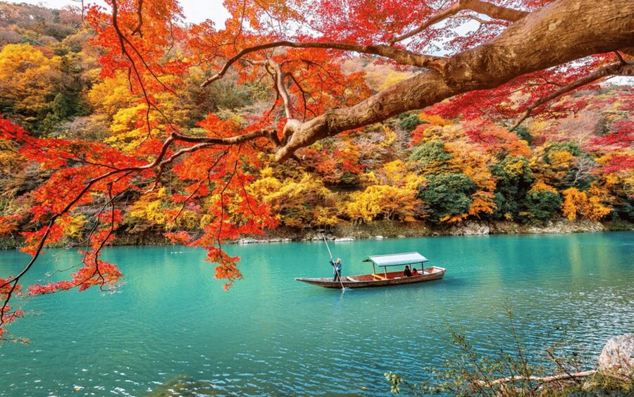 Kyoto/Osaka: Kyoto and Nara Customizable Guided Day Trip - Arashiyama Bamboo Grove: beautiful, brief, and easy to overpack