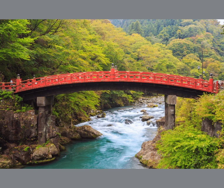 Kyoto/Osaka: Kyoto and Nara Customizable Guided Day Trip - Fushimi Inari Taisha and its winding paths
