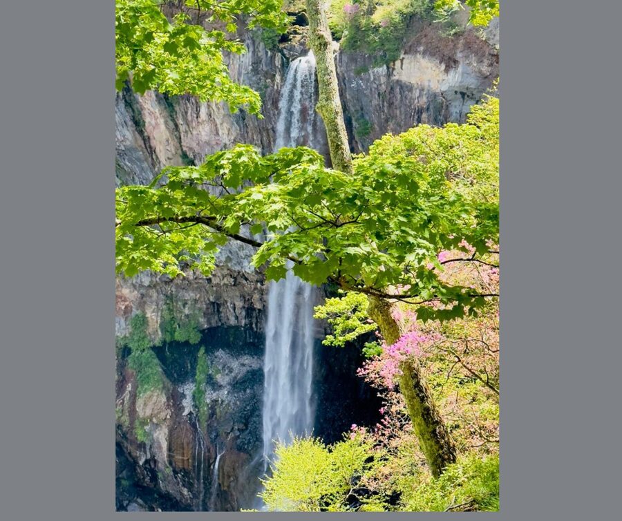 Kyoto/Osaka: Kyoto and Nara Customizable Guided Day Trip - What a Kyoto-only day can include