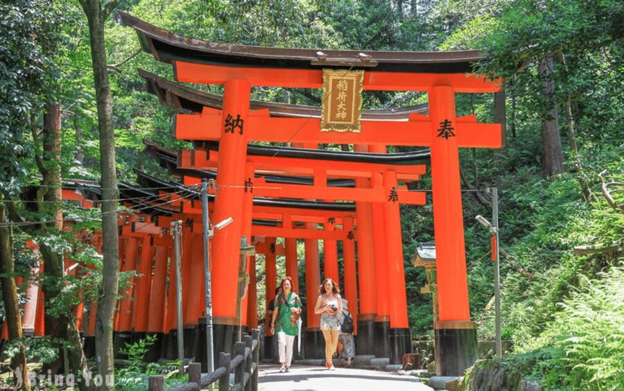 Kyoto/Osaka: Kyoto and Nara Customizable Guided Day Trip - Starting from Kyoto, Osaka, or Nara