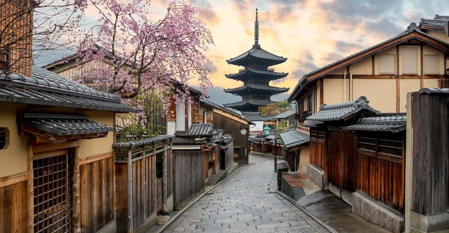 Kyoto/Osaka: Kyoto and Nara Customized Private Guided Tour - Fushimi Inari: walk beneath the vermilion torii gates