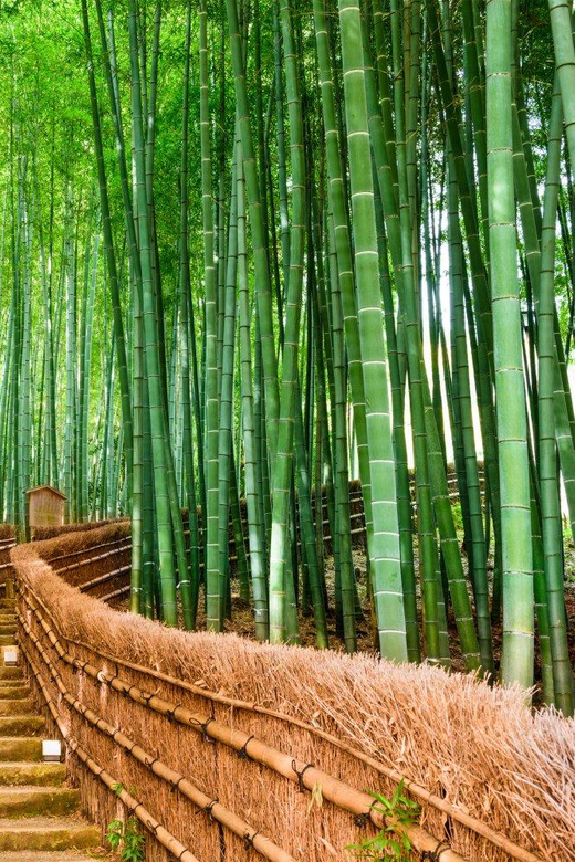 Kyoto/Osaka: Kyoto and Nara Customized Private Guided Tour - Todai-ji: one of Japan’s grandest temple visits