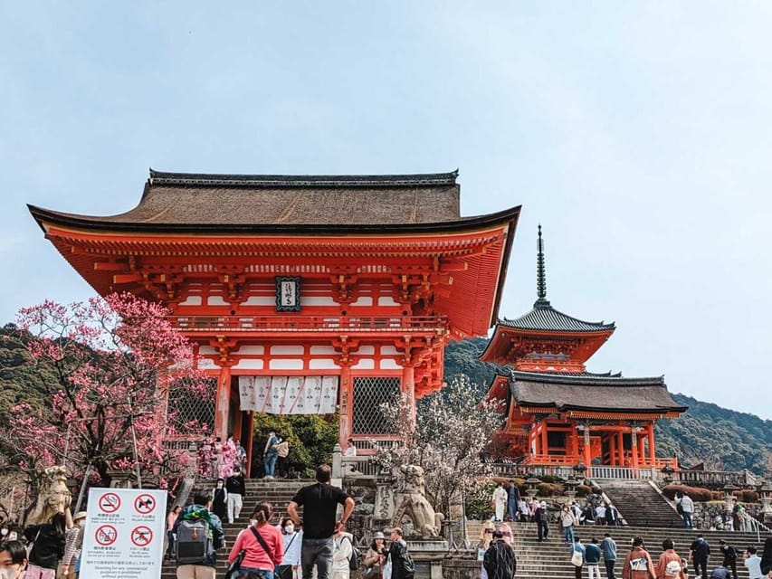 Kyoto/Osaka: Kyoto and Nara Sites & History Day Trip - Starting from Osaka, Kyoto, or Nara