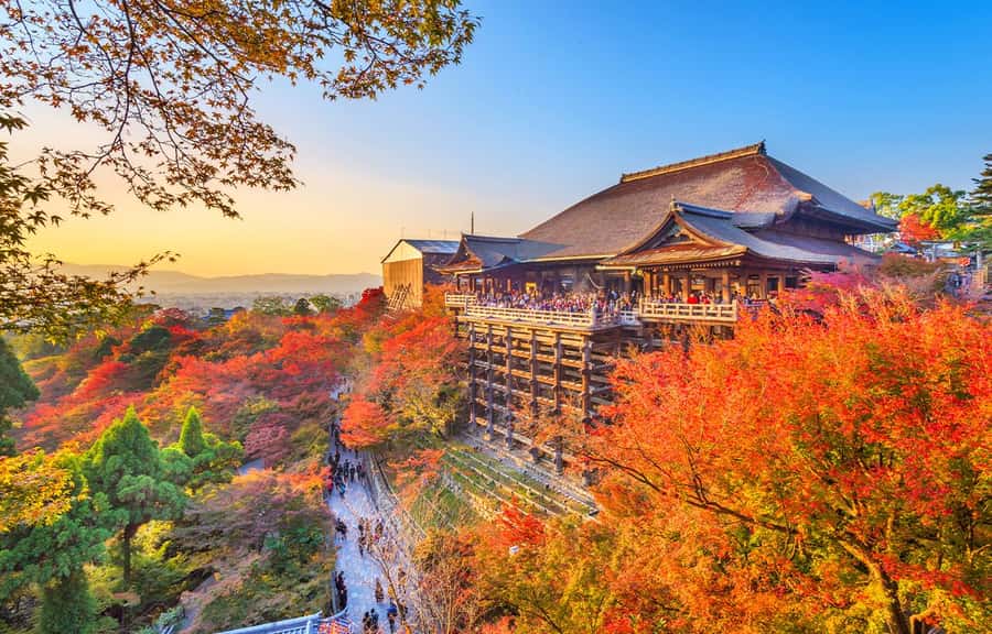 Kyoto/Osaka: Kyoto and Nara World Heritage Day Tour - Key points to know before booking