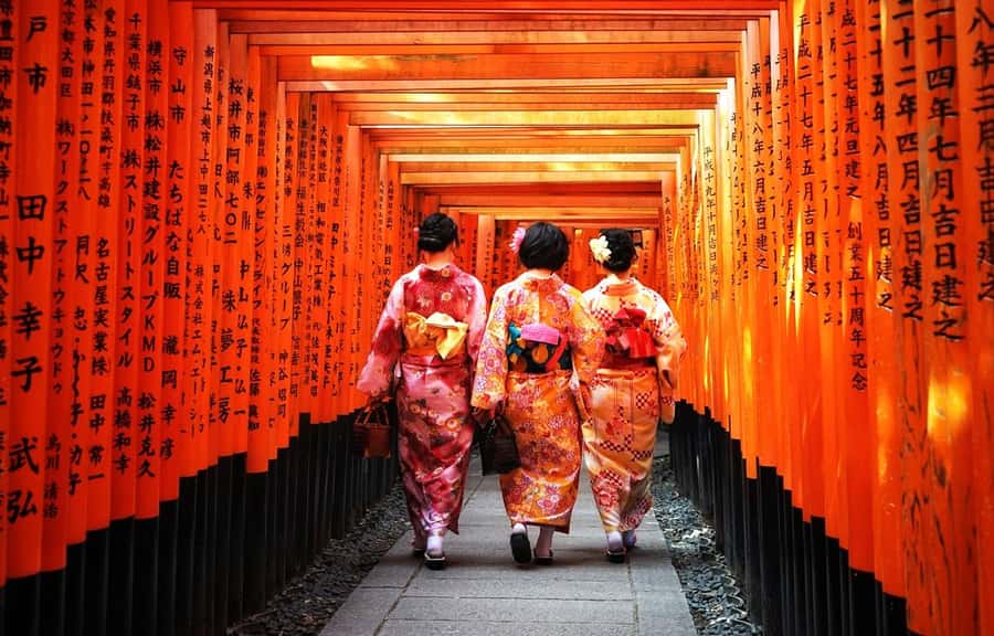 Kyoto/Osaka: Kyoto and Nara World Heritage Day Tour - Should you book it?