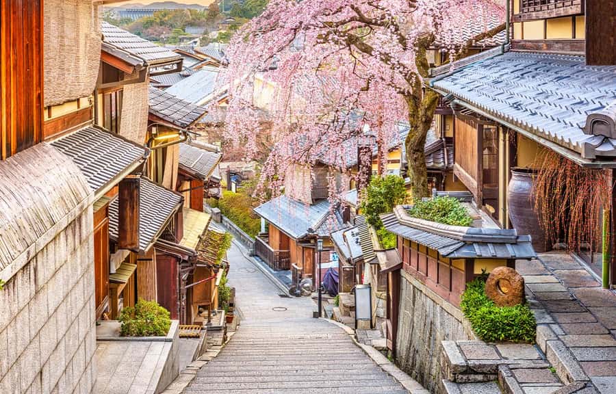Kyoto/Osaka: Kyoto and Nara World Heritage Day Tour - Nara Park and the deer
