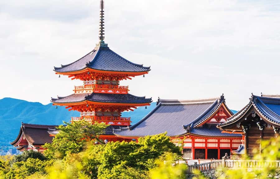 Kyoto/Osaka: Kyoto and Nara World Heritage Day Tour - Todaiji and the giant bronze Buddha