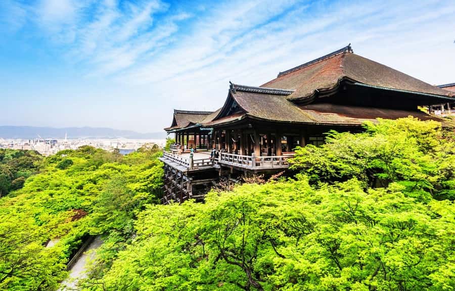 Kyoto/Osaka: Kyoto and Nara World Heritage Day Tour - Who will get the most from this tour