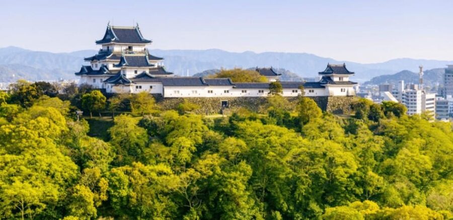 Kyoto/Osaka: Mount Koya and Wakayama Private Day Trip - The long ride from Osaka or Kyoto