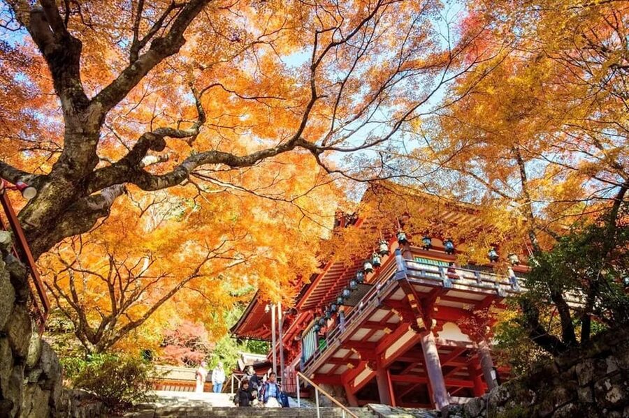 Kyoto/Osaka: Nara Customizable Self-Guided Tour with Driver - How to shape the day without losing time