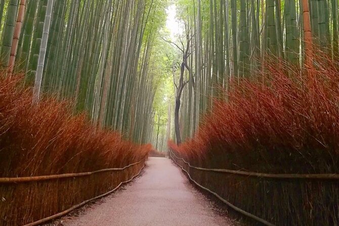 Kyoto, Osaka, Nara Full Day tour by Car English speaking Driver - Gion, Yasaka Shrine, and Kyoto street life