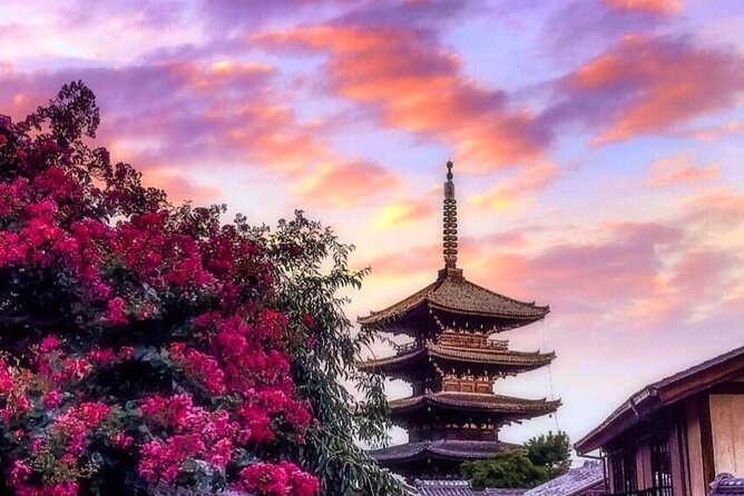 Kyoto, Osaka, Nara Private Tour by Car English Driver Guide - What this private day is really designed to do