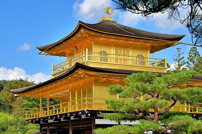 Kyoto, Osaka, Nara Private Tour by Car English Driver Guide - The driver-guide question you should take seriously