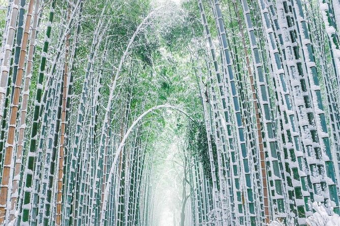 Kyoto, Osaka, Nara Private Tour by Car English Driver Guide - Time, weather, and parking can change the plan