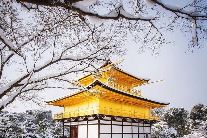 Kyoto, Osaka, Nara Private Tour by Car English Driver Guide - Is $660.51 good value for your group?