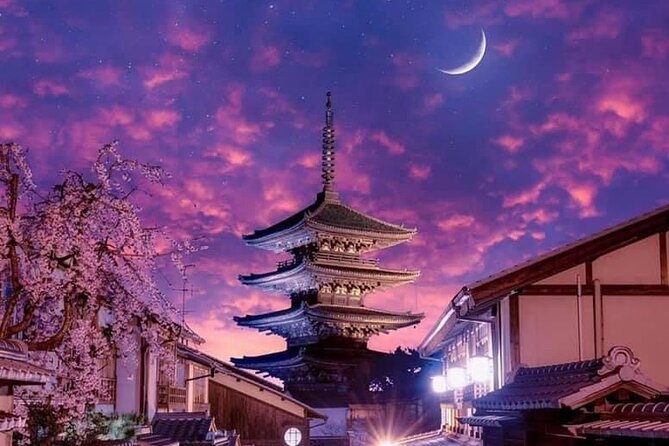 Kyoto, Osaka, Nara Private Tour by Car English Driver Guide - Who should book this private car tour?